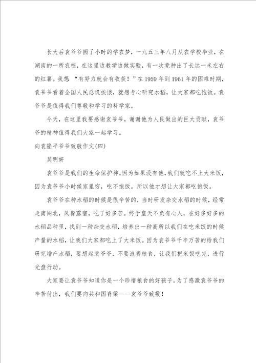 向袁隆平爷爷致敬作文