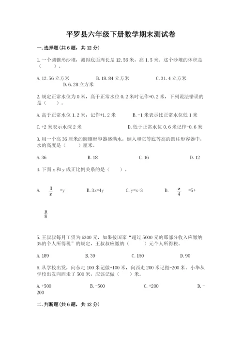 平罗县六年级下册数学期末测试卷完整参考答案.docx