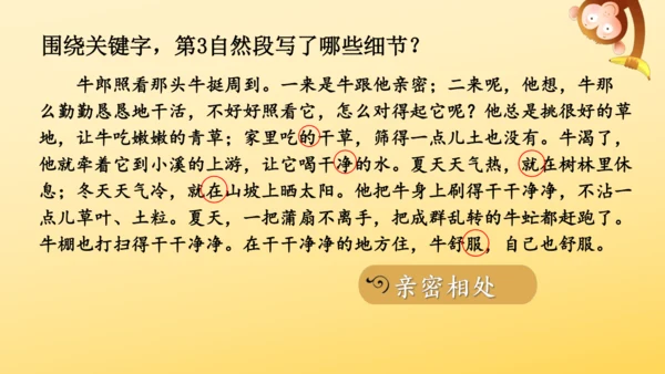 10 牛郎织女（一）   课件