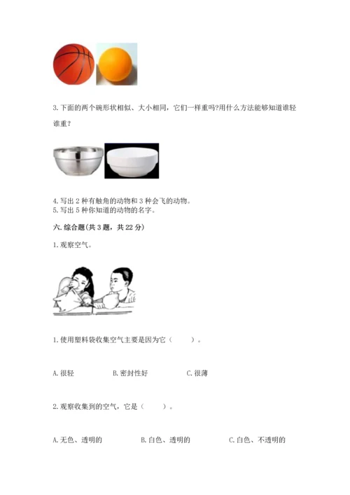 教科版一年级下册科学期末测试卷及参考答案【模拟题】.docx