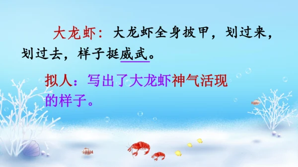 18.富饶的西沙群岛   课件