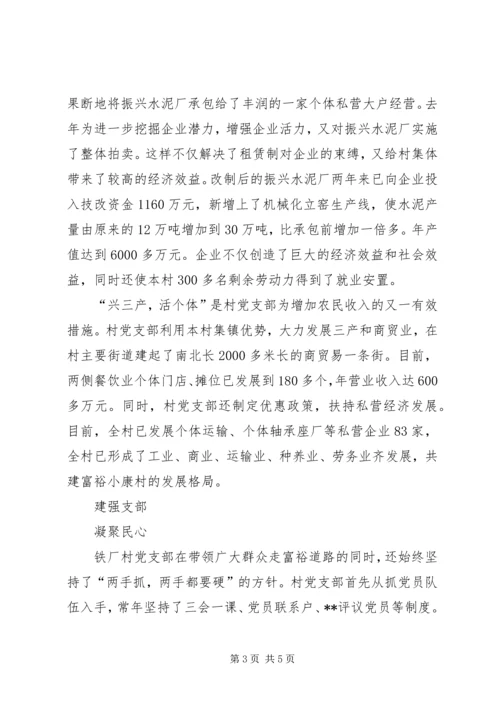 村党支部先进事迹材料(1).docx