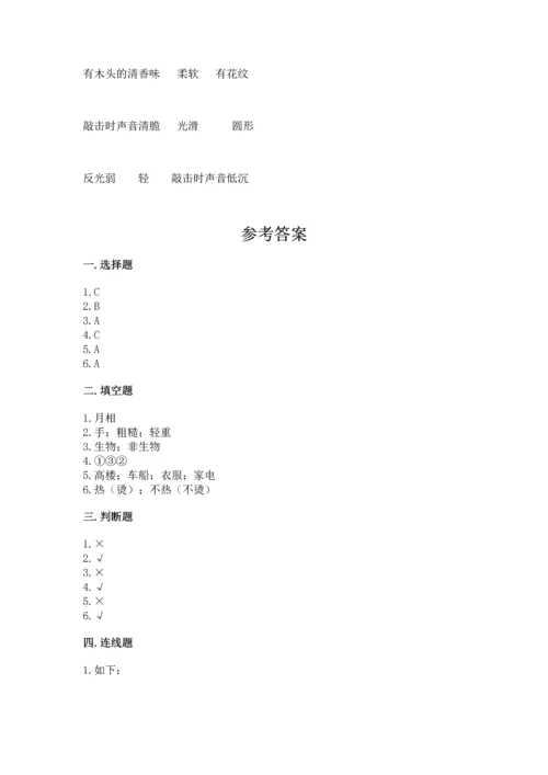 教科版二年级上册科学期末测试卷（b卷）.docx