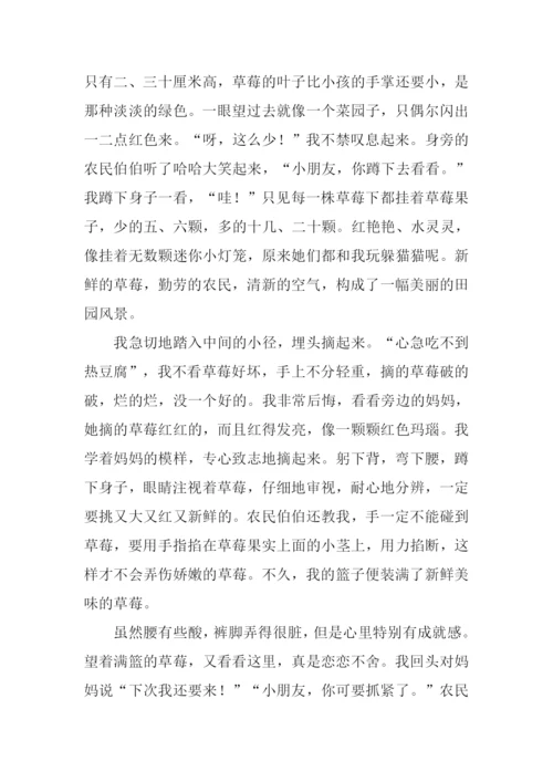 初二周记600字-20.docx