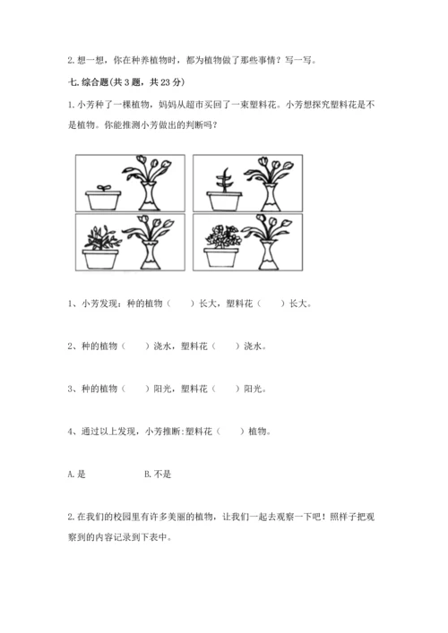 教科版科学一年级上册第一单元《植物》测试卷【研优卷】.docx