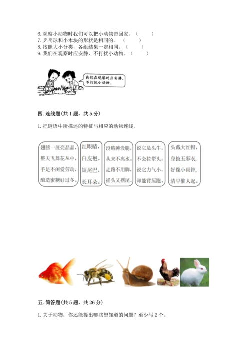 教科版一年级下册科学期末测试卷及答案【有一套】.docx