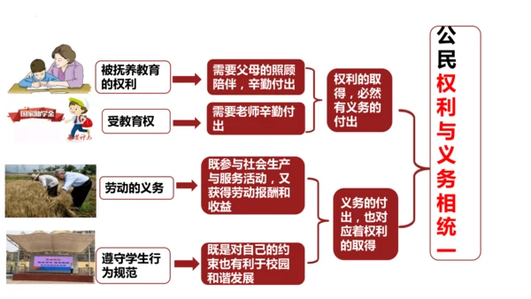 4.2依法履行义务 课件(共21张PPT)