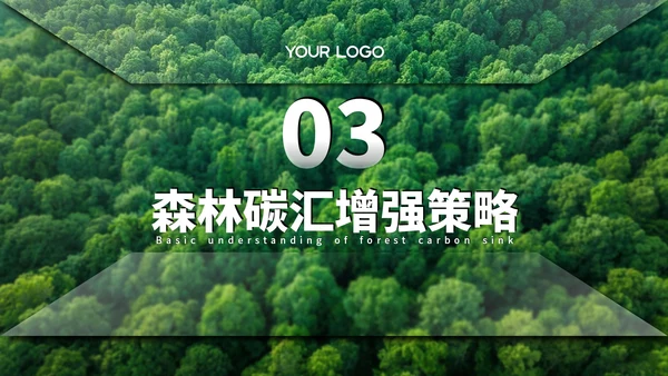 绿色清新森林生态环境保护调研汇报PPT模板