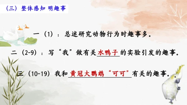 17  动物笑谈 教学课件(共17张PPT)