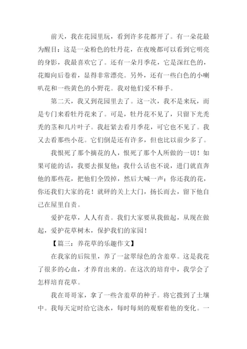花草作文400字0.docx