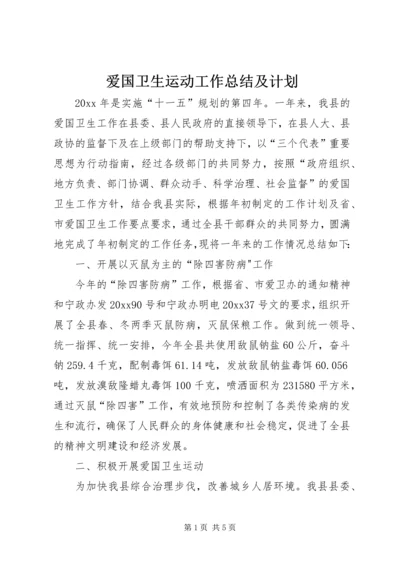 爱国卫生运动工作总结及计划.docx