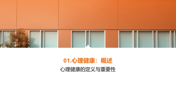 大学生心理健康解读