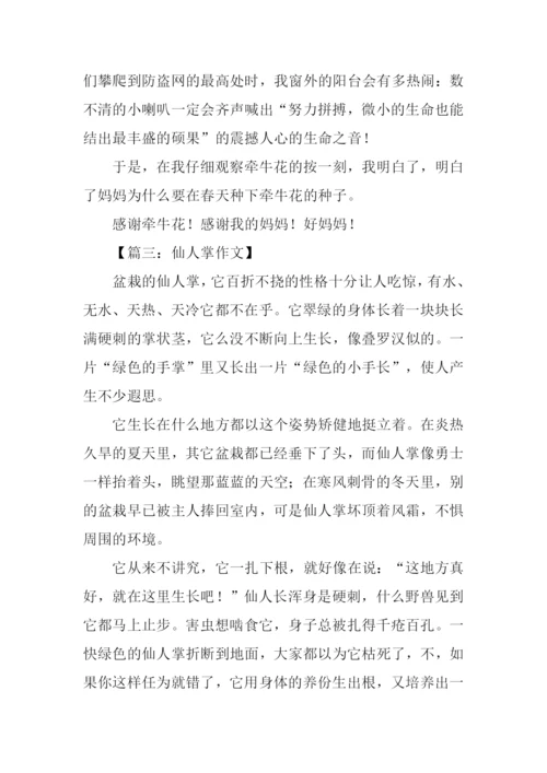 咏物抒怀的作文600字.docx