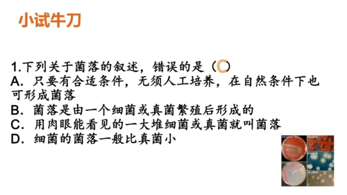 人教版生物八年级上册5.4.1《细菌和真菌的分布》课件(共22张PPT)