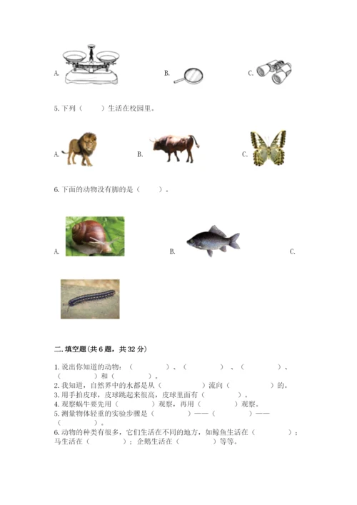 教科版一年级下册科学期末测试卷含答案【培优b卷】.docx