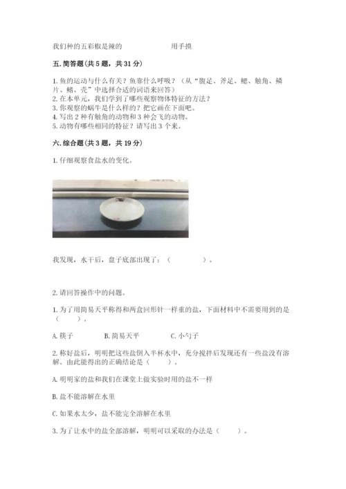 教科版一年级下册科学期末测试卷精品（名师系列）.docx