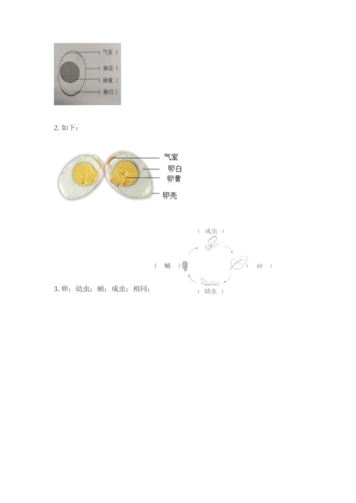 教科版科学三年级下册期末测试卷【考点梳理】.docx