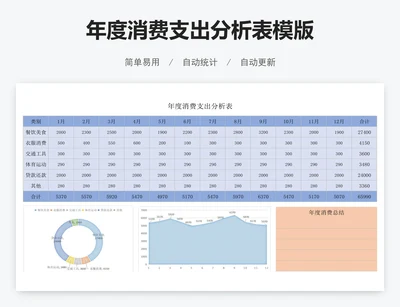 年度消费支出分析表模版