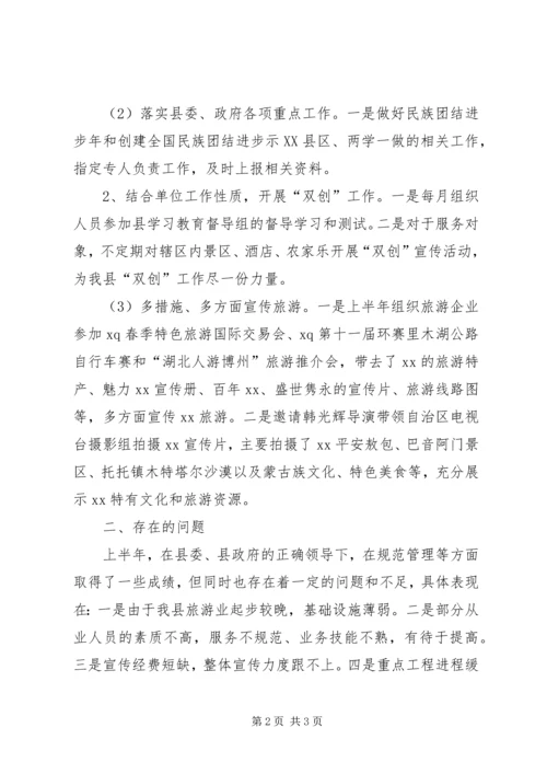 旅游局XX年上半年工作总结及下半年工作计划.docx