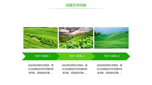 唯美绿色茶园文化茶艺品茶论道动态PPT模板
