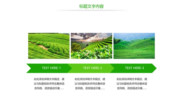 唯美绿色茶园文化茶艺品茶论道动态PPT模板