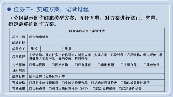 综合实践项目1制作细胞模型（课件）（人教版2024）-【跨学科实践】七年级生物上册跨学科实践备课包（