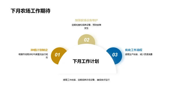 农业效益分析及展望