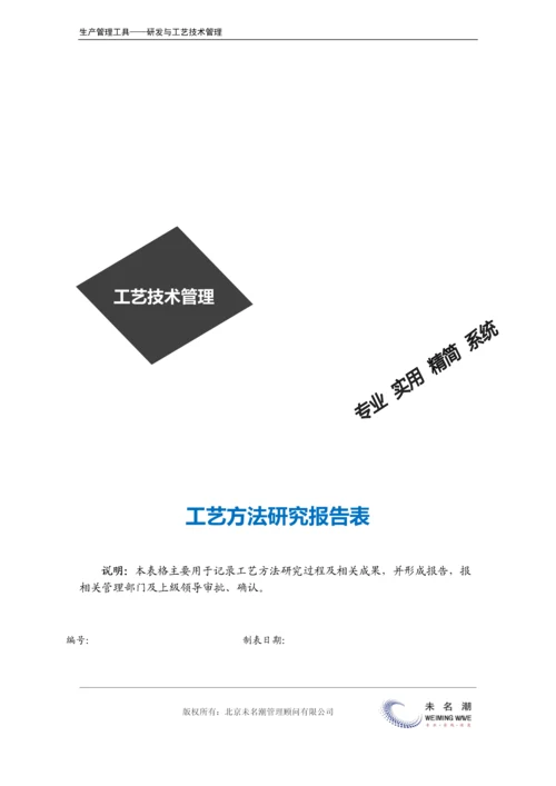 工艺方法研究报告表.docx