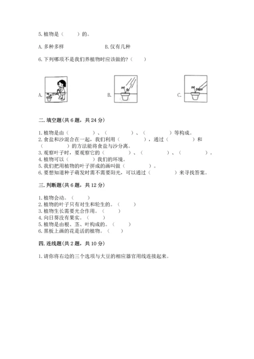 教科版科学一年级上册第一单元《植物》测试卷含答案【完整版】.docx