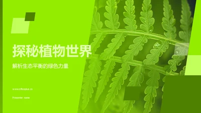 探秘植物世界