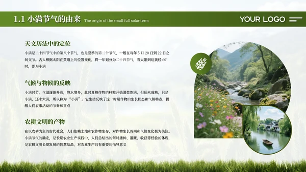 绿色简约创意中国传统二十四节气之小满课件PPT模板