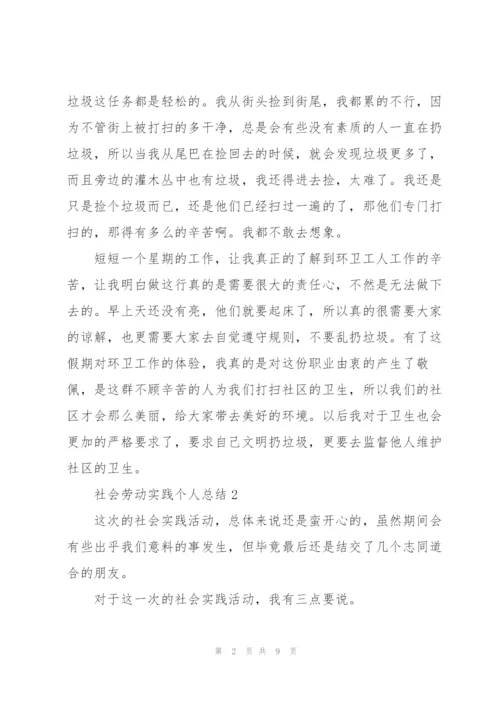 社会劳动实践个人总结5篇.docx