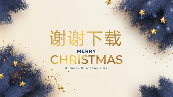 圣诞快乐圣诞节组织活动策划方案PPT