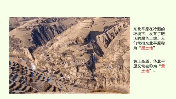 6.1 自然特征与农业（课件36张）-人教版地理八年级下册