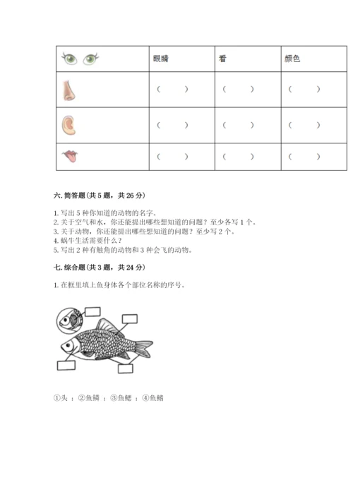 教科版小学科学一年级下册期末测试卷附答案【达标题】.docx