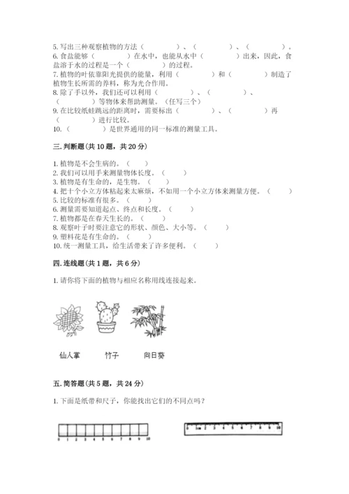 教科版一年级上册科学期末测试卷精品（模拟题）.docx