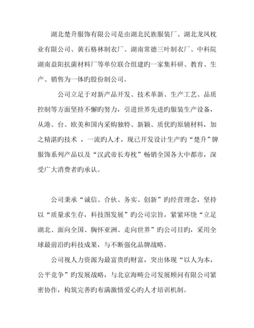 服饰公司专题策划专题方案及事业标准手册.docx