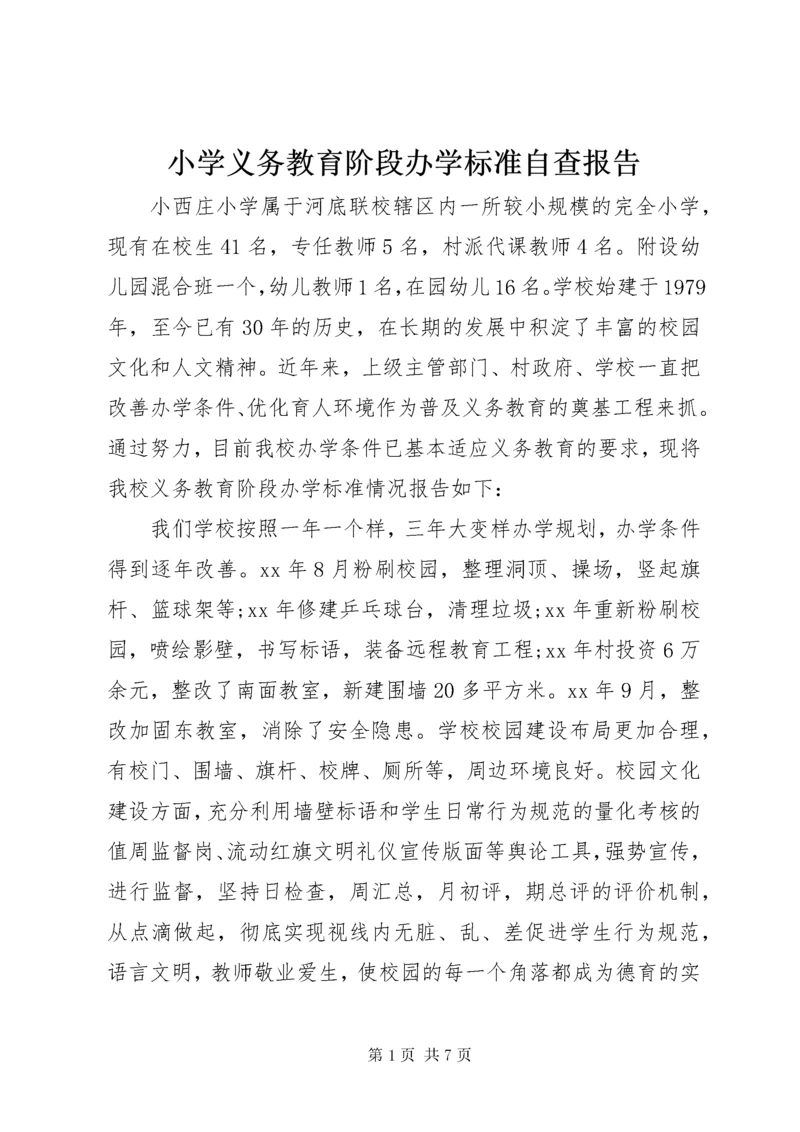 小学义务教育阶段办学标准自查报告.docx