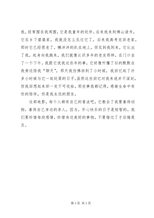 忠犬八公观后感 (5).docx