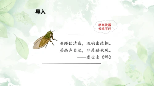 第21课《蝉》课件