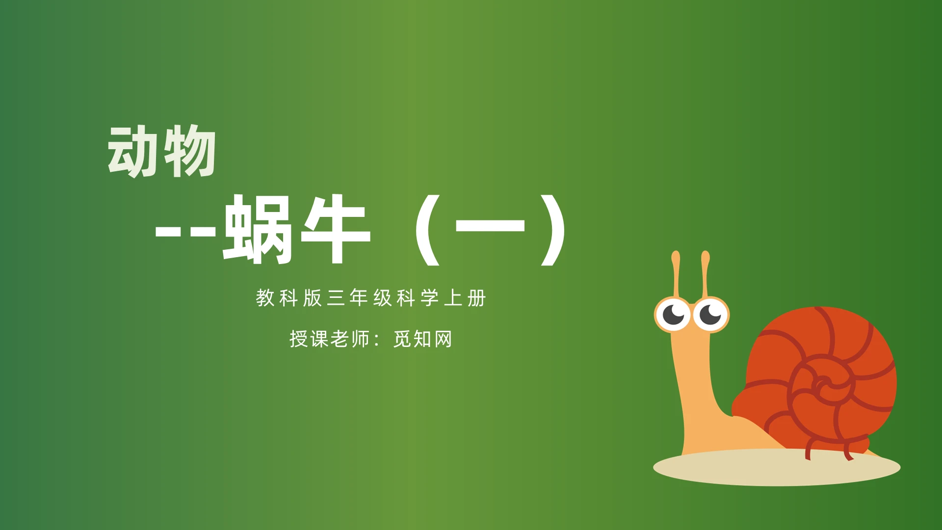 绿色简约风蜗牛动物说课PPT模板小学科学课件