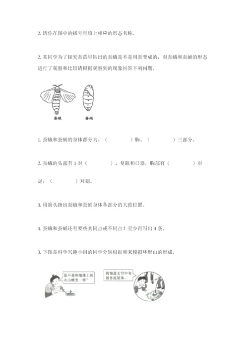 教科版科学三年级下册 期末测试卷（典优）.docx