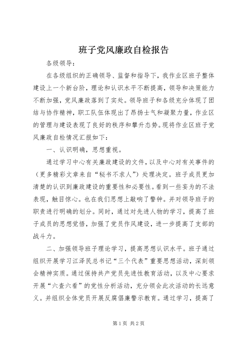 班子党风廉政自检报告 (2).docx