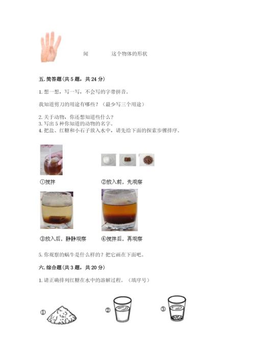教科版一年级下册科学期末测试卷（网校专用）.docx