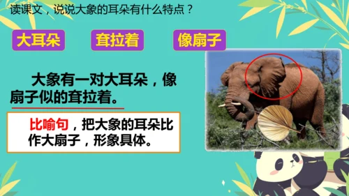 19大象的耳朵  课件