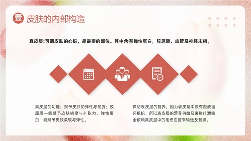 粉色简约美容知识培训大全PPT模板宣传PPT动态PPT