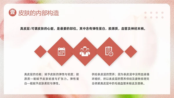 粉色简约美容知识培训大全PPT模板宣传PPT动态PPT