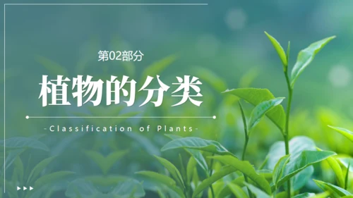 植物介绍笔记植物分类知识科普通用PPT模板