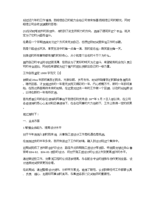 工作自我评价
