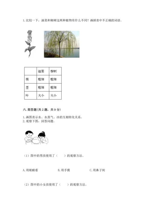 教科版科学一年级上册第一单元《植物》测试卷精品（考试直接用）.docx